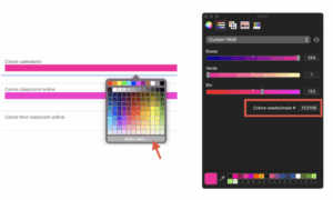 Color picker su browser Safari (visualizzato su computer Apple Macbook Pro)
