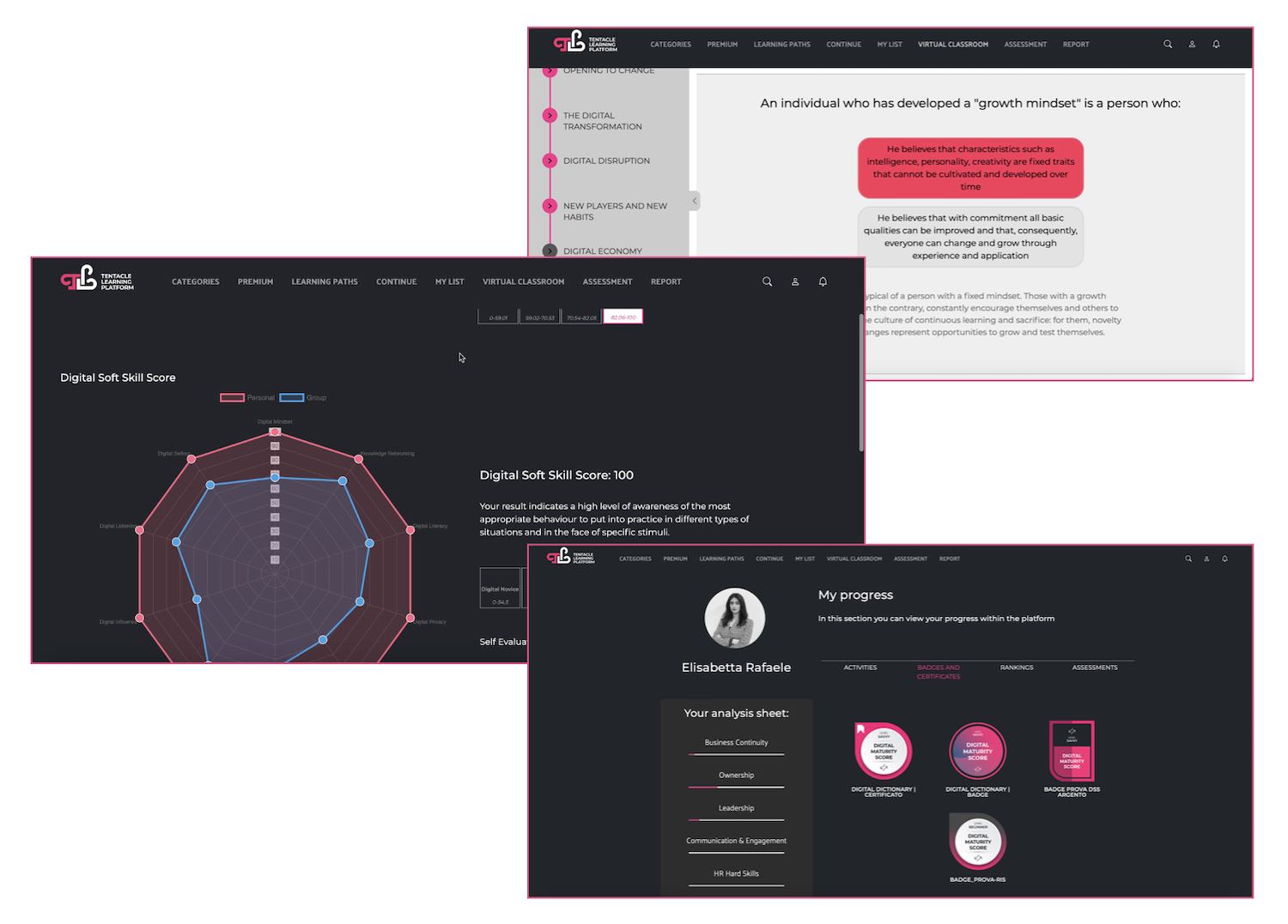 Schema-GamificationMioProfilo